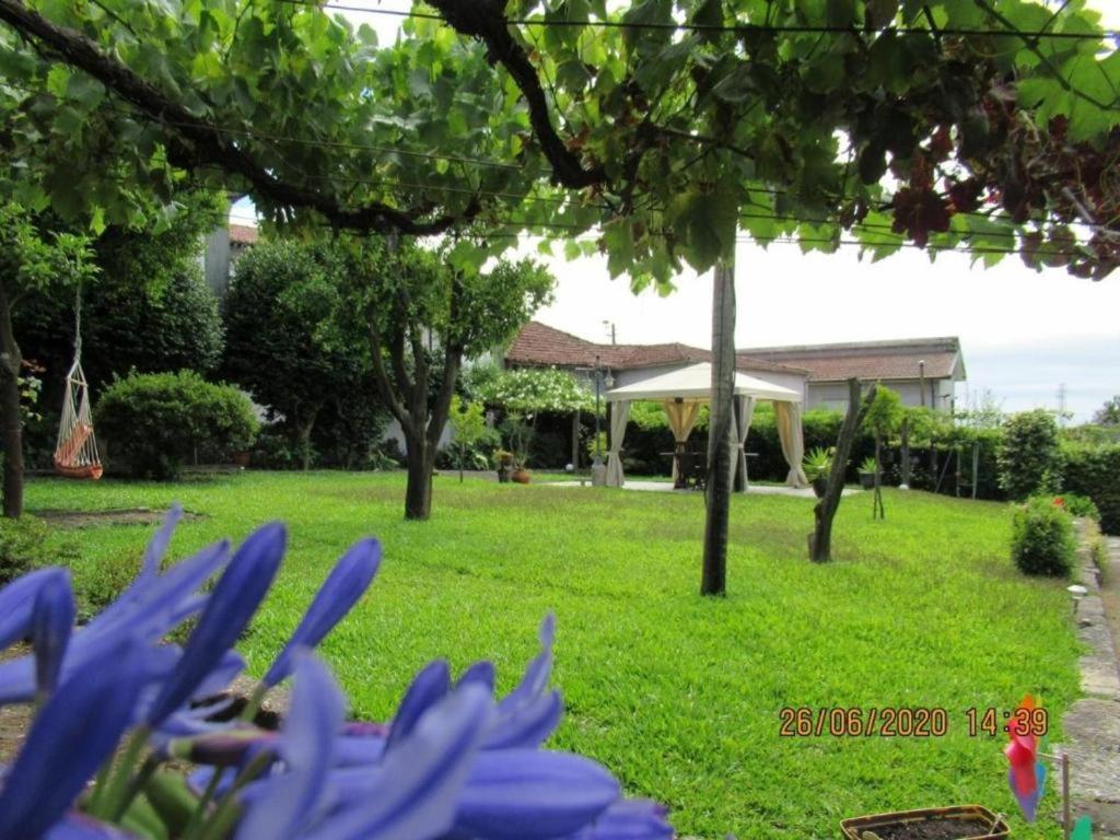 Villa Casa De Sao Braz à Landim Extérieur photo